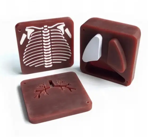 新生兒胸部模體2